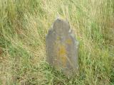 image of grave number 337415